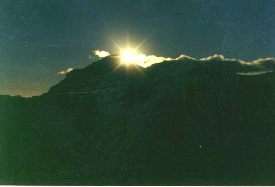 ali_amanecer.jpg (145181 bytes)